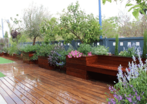 עמינדב נחום